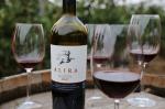 La Alira, toamna se numară prietenii și strugurii