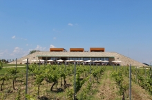 AVINCIS WINERY