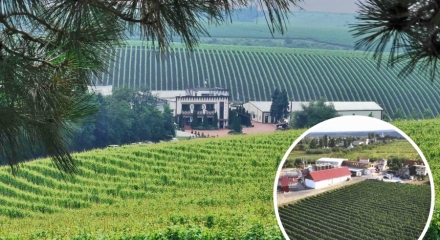 Cramele Recaș expands into Vrancea region and partners with Tenuta Odobești for sparkling wines
