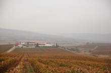 JIDVEI WINERY