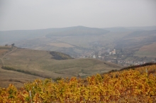 JIDVEI WINERY