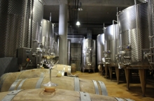 LACERTA WINERY