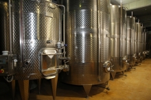 LACERTA WINERY