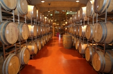 LACERTA WINERY