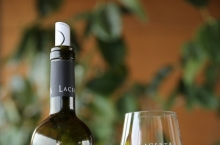 LACERTA WINERY