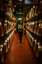 LACERTA WINERY