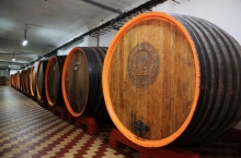 MURFATLAR WINERY