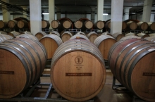 MURFATLAR WINERY