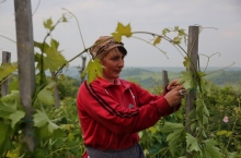 PEOPLE & VINEYARDS