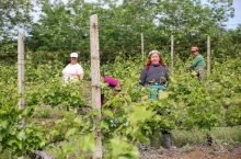 PEOPLE & VINEYARDS