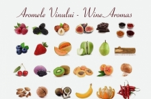 WINE AROMAS