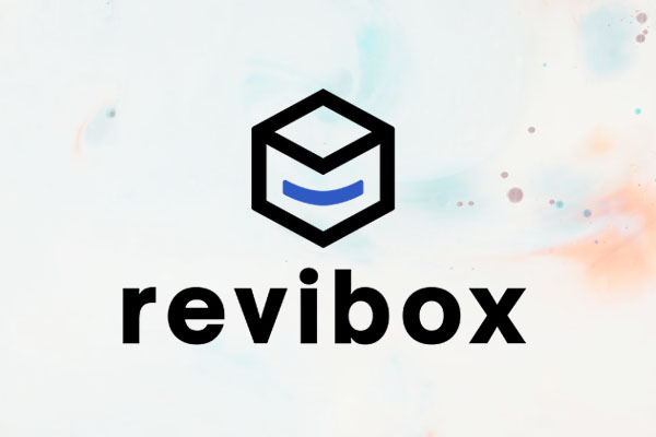 _Revibox ambalaje cadouuri_1